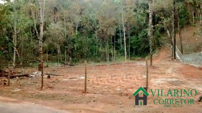 Terreno, 5650 m² - Foto 3