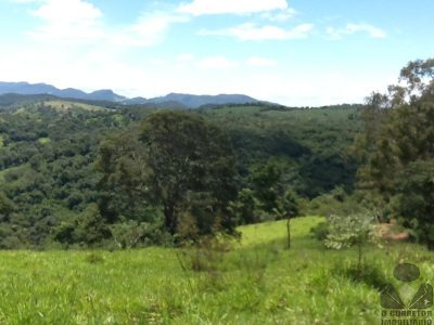 Chácara, 2 hectares - Foto 2