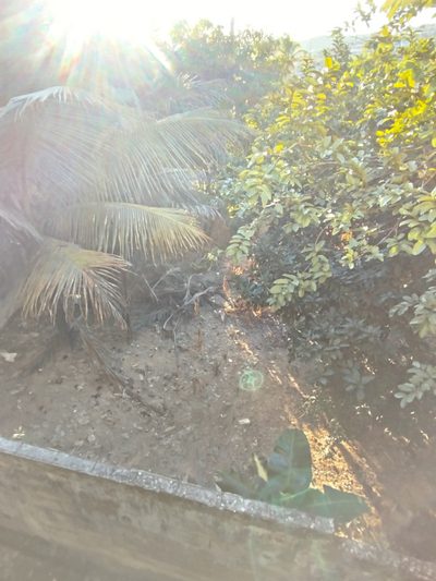 Terreno, 436 m² - Foto 4