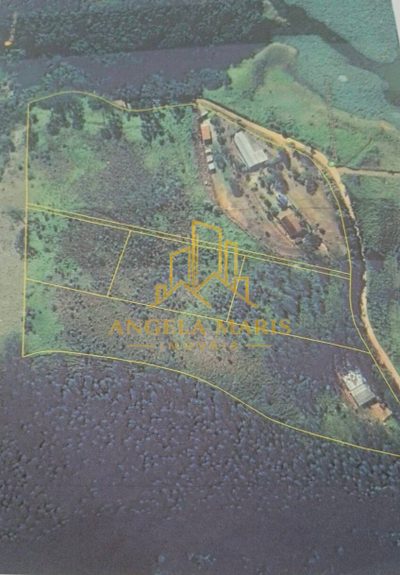 Terreno, 5000 m² - Foto 2