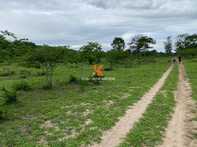 Fazenda, 4 quartos - Foto 1