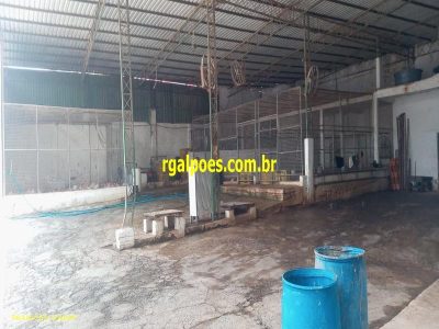 Depósito-Galpão, 1500 m² - Foto 1