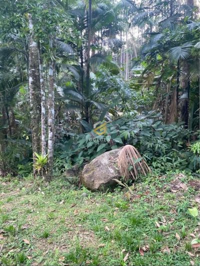 Terreno, 4000 m² - Foto 5
