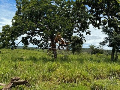 Fazenda, 2194 hectares - Foto 3