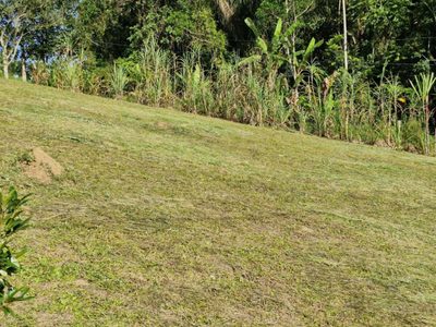 Terreno, 1000 m² - Foto 3