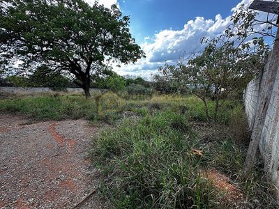 Terreno, 1000 m² - Foto 4