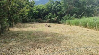 Terreno, 450 m² - Foto 3