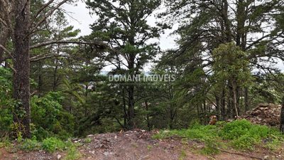 Terreno, 2020 m² - Foto 4
