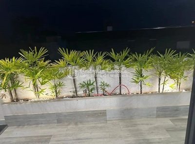 Fazenda, 450 m² - Foto 4
