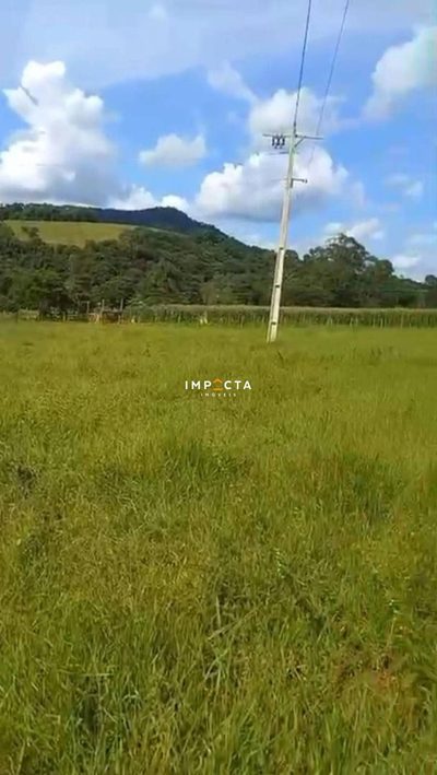 Terreno, 4800 m² - Foto 4
