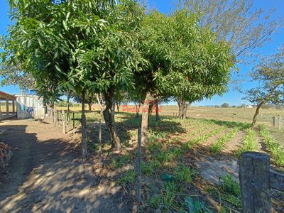 Sítio, 3 quartos, 7 hectares - Foto 4