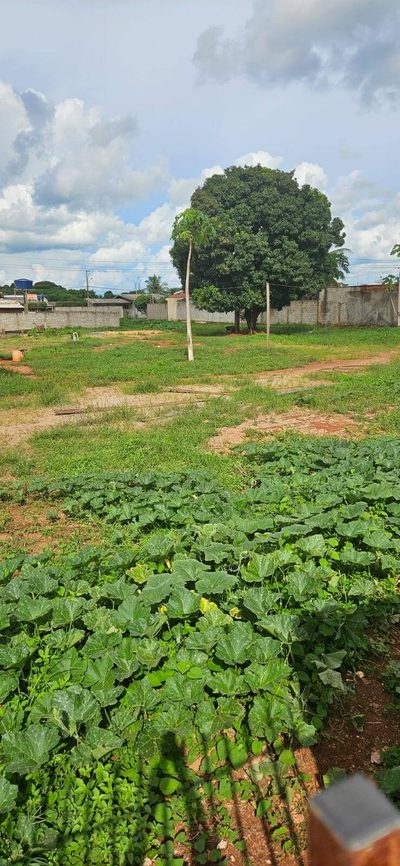 Terreno, 3150 m² - Foto 2