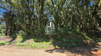 Terreno, 2500 m² - Foto 5