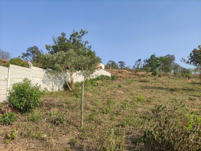Terreno, 800 m² - Foto 4