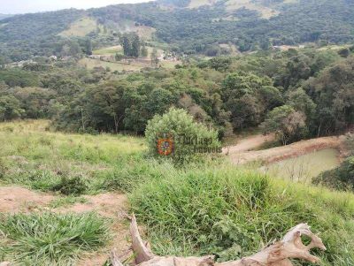Terreno, 8000 m² - Foto 3