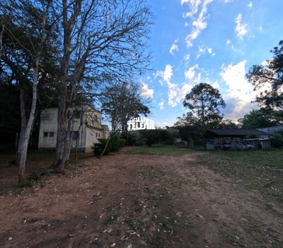Chácara, 3 quartos - Foto 4