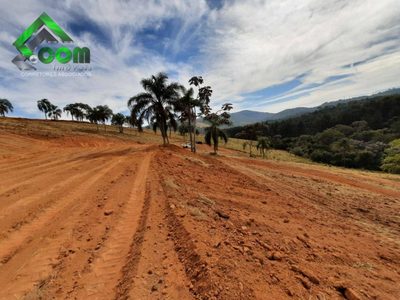 Terreno, 2 hectares - Foto 4