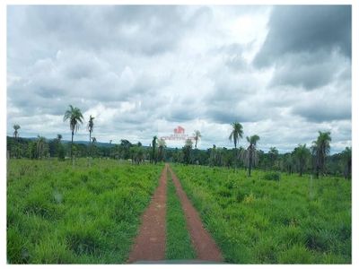 Fazenda, 2574 m² - Foto 2