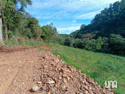 Sítio, 2 hectares - Foto 2