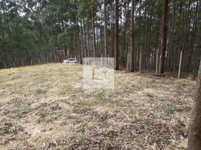Terreno, 4000 m² - Foto 5