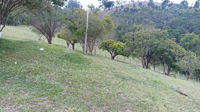 Fazenda, 900 m² - Foto 4