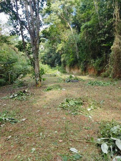 Terreno, 2240 m² - Foto 2
