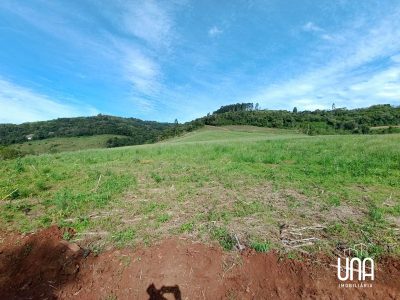Sítio, 2 hectares - Foto 4