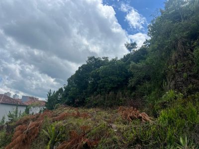 Terreno, 200 hectares - Foto 3