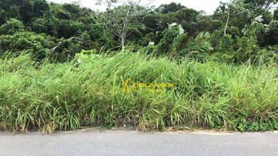 Terreno, 300 m² - Foto 2