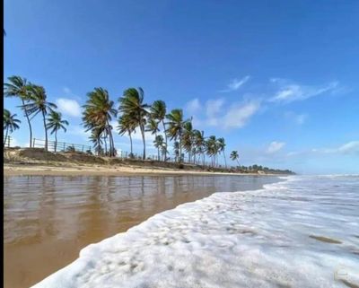 Terreno, 200 m² - Foto 1