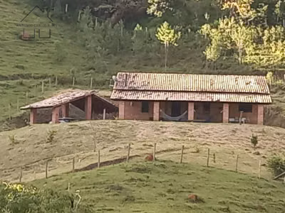 Sítio, 3 quartos, 4 hectares - Foto 1