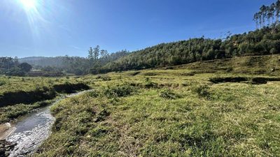 Terreno, 12 hectares - Foto 1