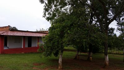 Chácara, 4 quartos, 5000 m² - Foto 5