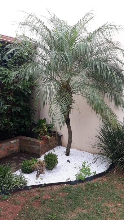 Casa, 2 quartos, 180 m² - Foto 1