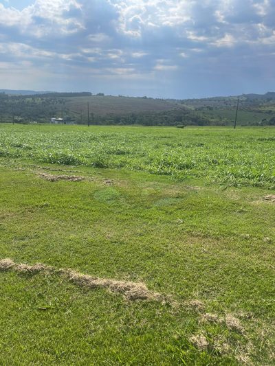 Terreno, 1363 m² - Foto 3