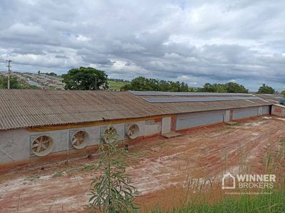 Fazenda, 5 hectares - Foto 4