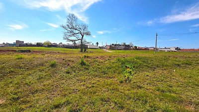 Terreno, 300 m² - Foto 3