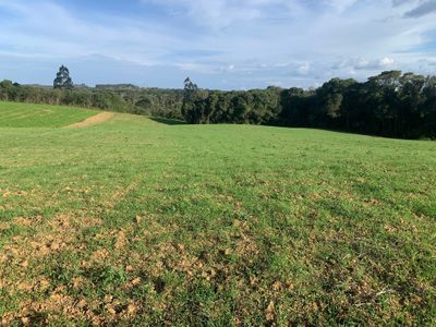 Terreno, 6 hectares - Foto 2