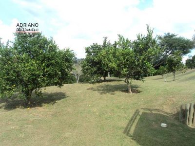 Chácara, 4 quartos, 2 hectares - Foto 3