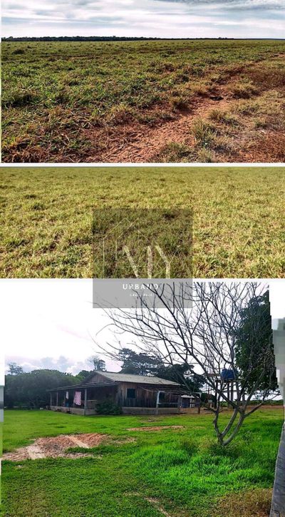 Terreno, 10000 m² - Foto 5