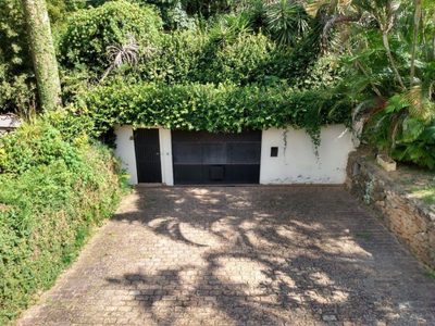 Casa, 4 quartos, 600 m² - Foto 4