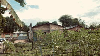 Casa, 1 quarto, 700 m² - Foto 4