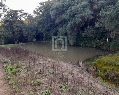 Terreno, 10300 m² - Foto 5