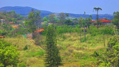 Terreno, 1000 m² - Foto 2