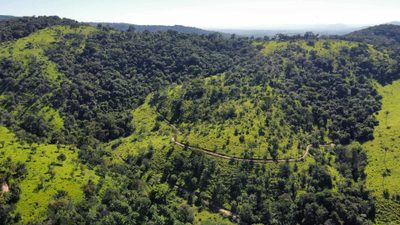Terreno, 2 hectares - Foto 4