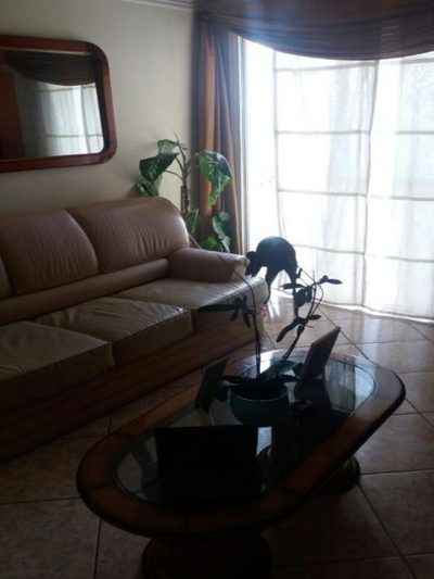 Apartamento, 2 quartos - Foto 4