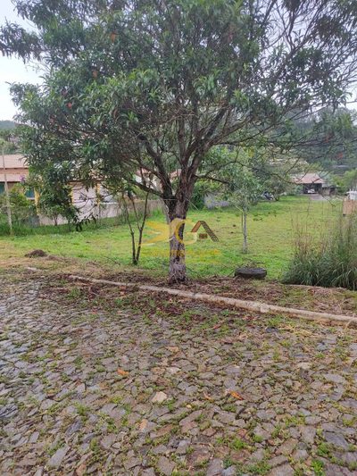 Terreno - Foto 2