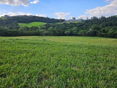Terreno, 1 hectares - Foto 3