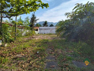 Terreno, 5 hectares - Foto 2