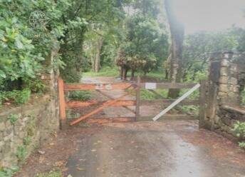 Terreno, 30 hectares - Foto 3